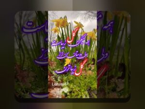 تحلیل انگیزه پس از گل: درک چگونگی انگیزه‌ها پس از هر گل در فوتبال و رسانه‌های ایران